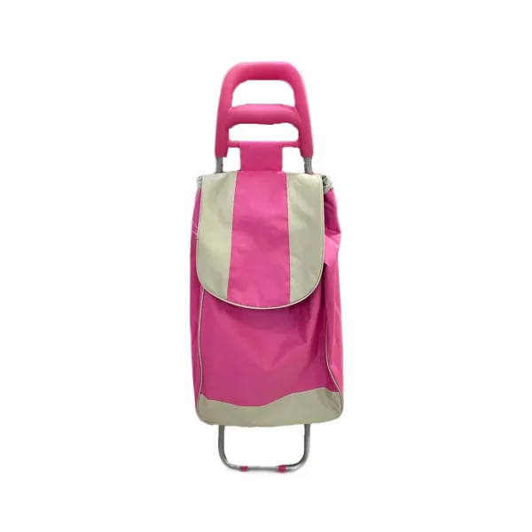 Carro de compras