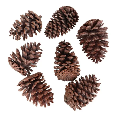 Juego de 7 piñas decorativas 7x7x12cm