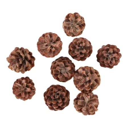 Juego de 10 piñas decorativas 4x4x6cm