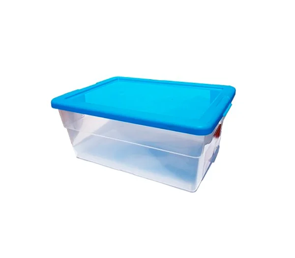 Caja organizadora con tapa click 20 lts
