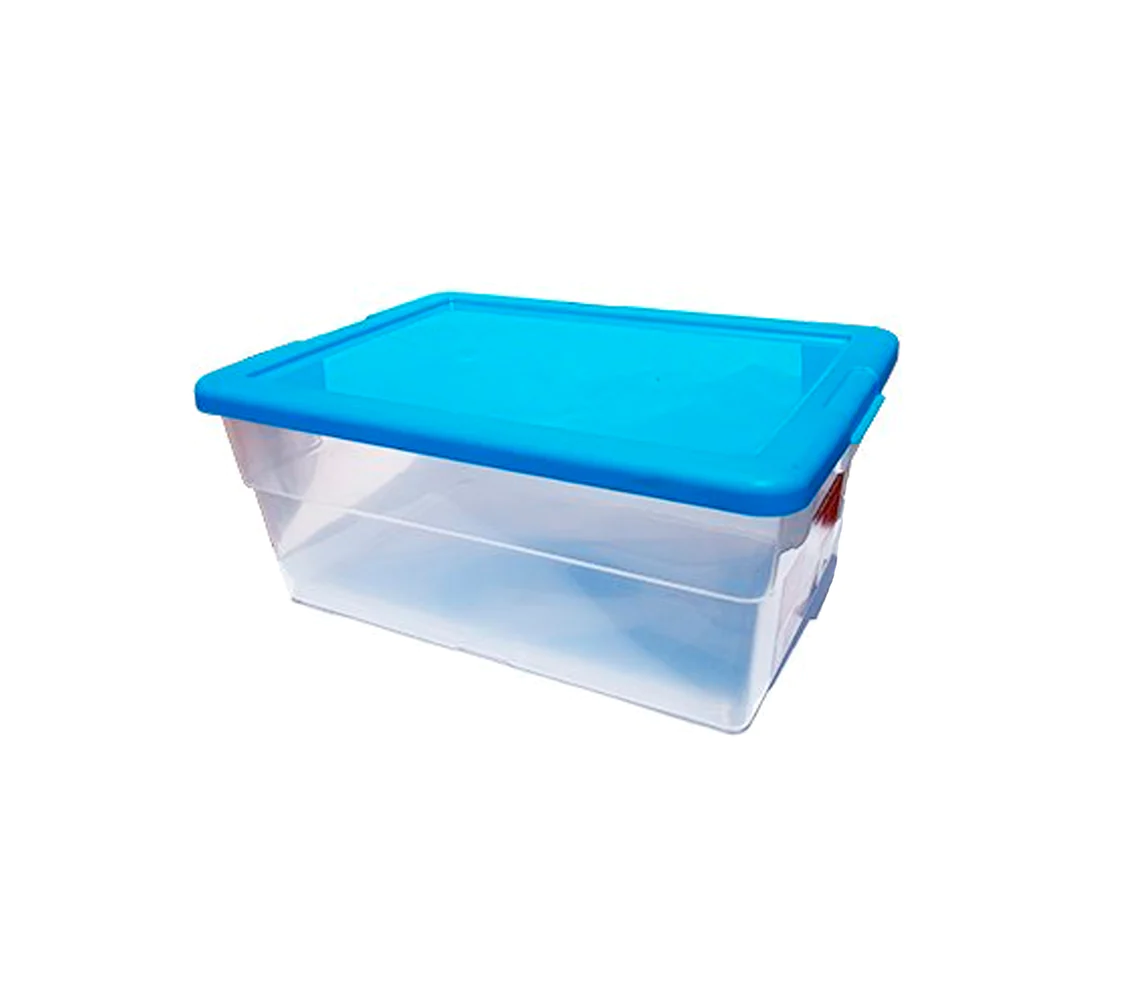 Caja organizadora con tapa click 20 lts