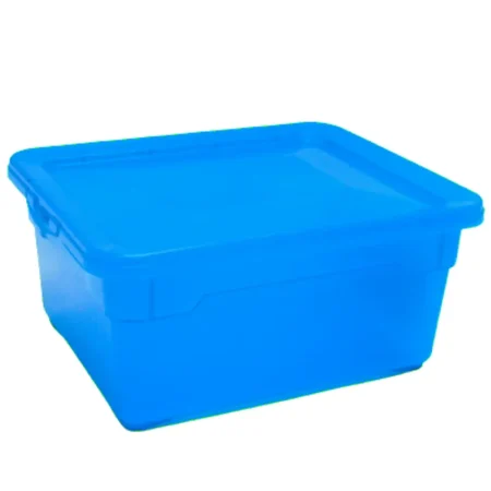 Caja organizadora 2 lts