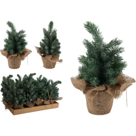 Pino en maceta 19 x 19 x 30 cm