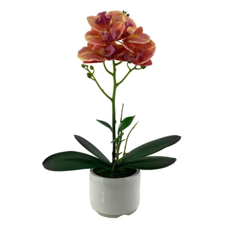 Flores 22 x 8de 38 cm