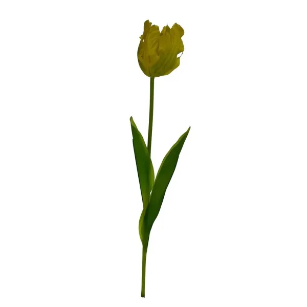 Tulip?n decorativo 15 x 13 x 77 cm