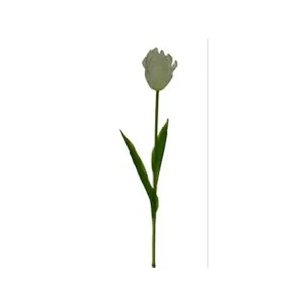 Tulip?n decorativo 15 x 13 x 77 cm