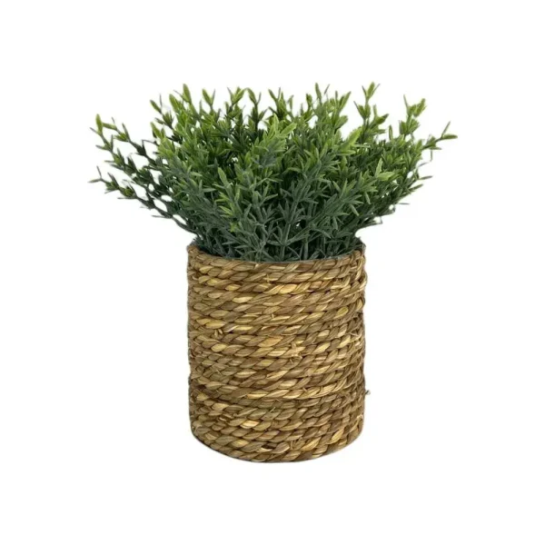 Planta con maceta 21 x 21 x 23 cm