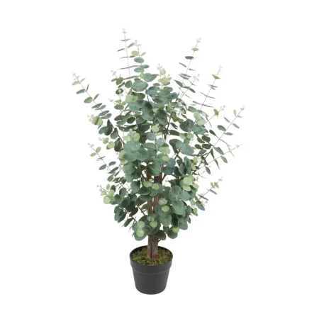 Planta con pote 95 x 60 x 95 cm