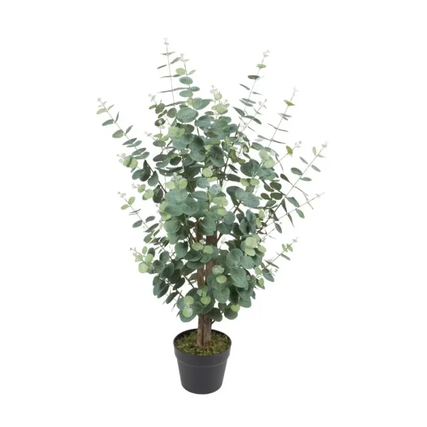 Planta con pote 95 x 60 x 95 cm