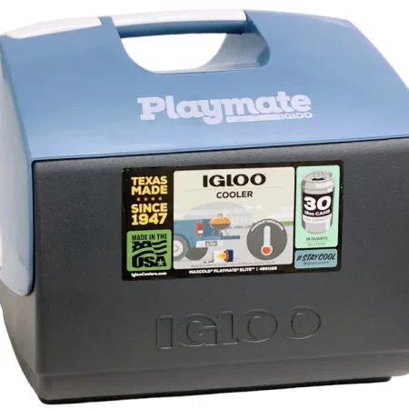 Hielera mini 15,14 lts