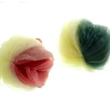 Esponja para cuidado personal