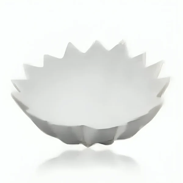 Bowl de cer?mica
