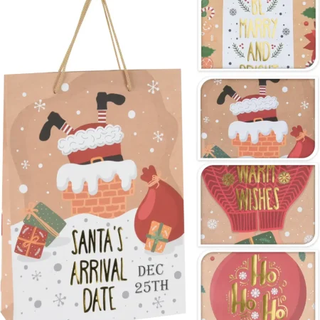 Bolsa de regalo 34,5 x 25 x 0,5 cm