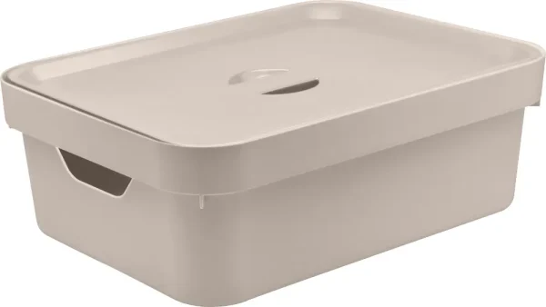 Caja organizadora mediana con tapa