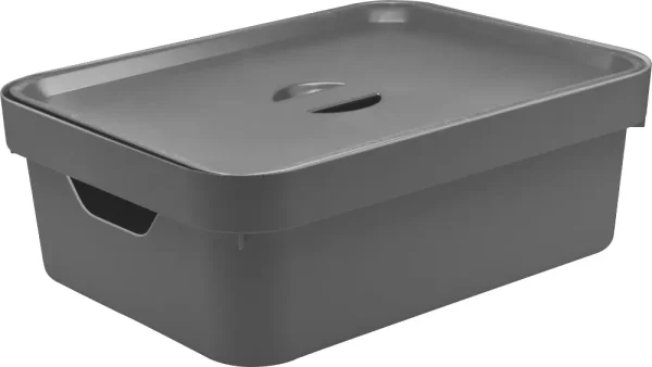 Caja organizadora mediana con tapa