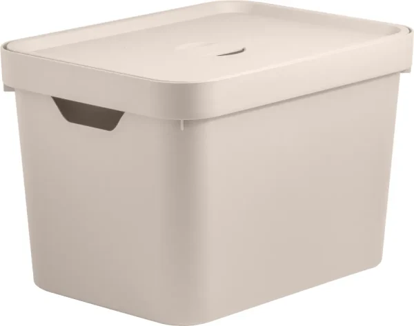Caja organizadora mediana con tapa 18 lts