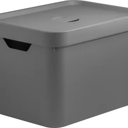 Caja organizadora mediana con tapa 18 lts