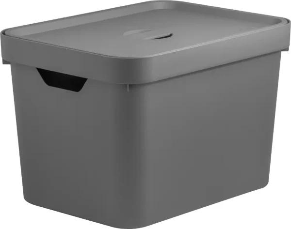 Caja organizadora mediana con tapa 18 lts