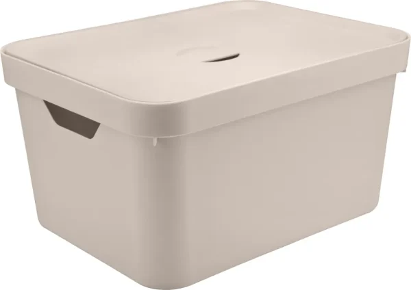 Caja organizadora grande con tapa