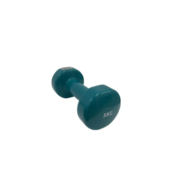 Mancuerna de vinil 5 kg