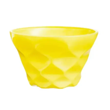 Bowl de 10 cm 200 ml