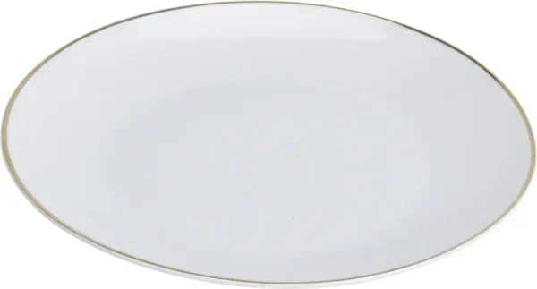 Plato llano de porcelana 2X20,3X20,3