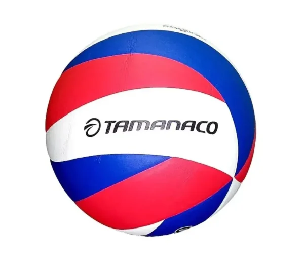 Bal?n de voleibol